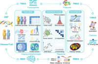 多组学关联分析的基本框架和方法分类