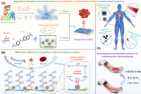 体外循环装置中通过凝血聚集态调控实现多尺度抗凝的新策略