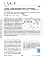 多/单细胞测温揭示VNP可诱发巨噬细胞为焦亡样并伴随温升