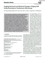 基于扫描离子电导显微镜的干细胞表面形貌与电荷分布同步成像