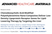 鹅去氧胆酸修饰的聚乙烯亚胺纳米复合材料靶向肝脏递送低密度脂蛋白受体基因进行降脂治疗