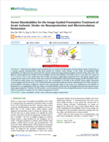 自组装氙气纳米气泡用于超声图像引导的缺血性脑卒中抢先治疗