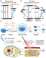 (a) 同时进行的PTT和PDT作用机制；(b) 自级联PTT和PDT作用机制；(c) 基于DICG(J)/O2-NBs的自级联PTT和PDT系统；(d) DICG(J)/O2-NBs在体内产生自级联PTT和PDT效应