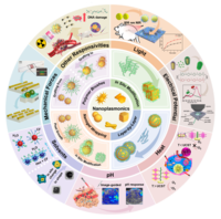 软聚合物调控的自适应纳米等离激元示意图